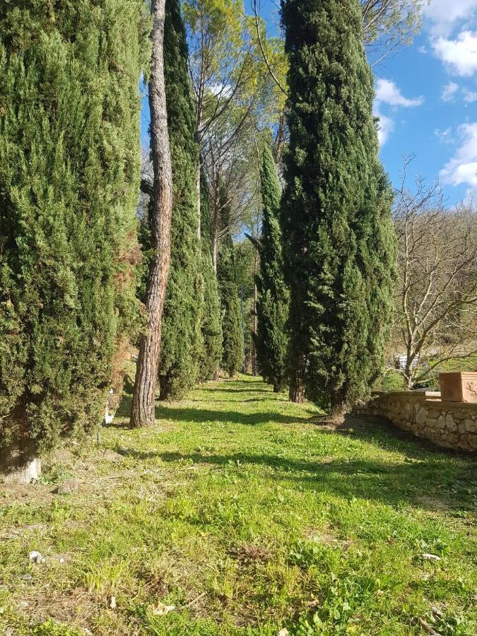 سبيلّو Domus Antiqua Bed & Breakfast المظهر الخارجي الصورة