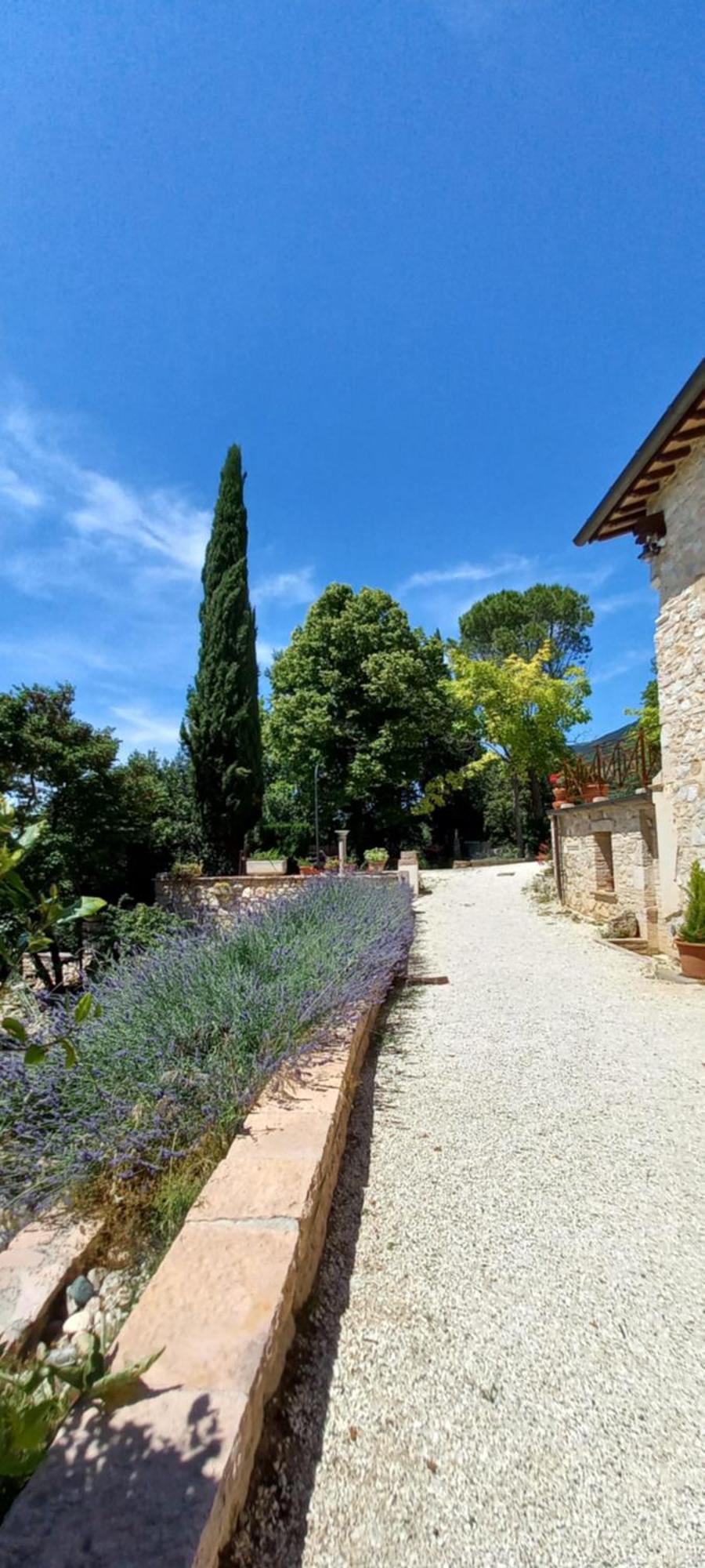 سبيلّو Domus Antiqua Bed & Breakfast المظهر الخارجي الصورة