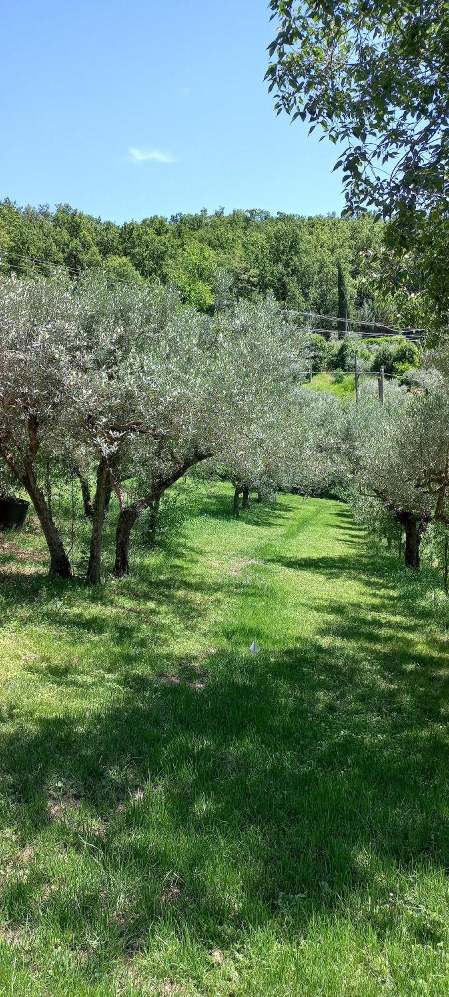 سبيلّو Domus Antiqua Bed & Breakfast المظهر الخارجي الصورة