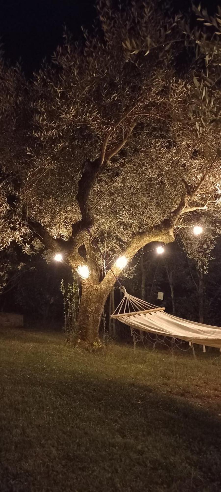 سبيلّو Domus Antiqua Bed & Breakfast المظهر الخارجي الصورة